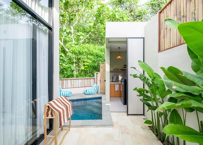 V2-1br With Pool And Jungle View-5 Mnts To The Beach-restaurant Villa *